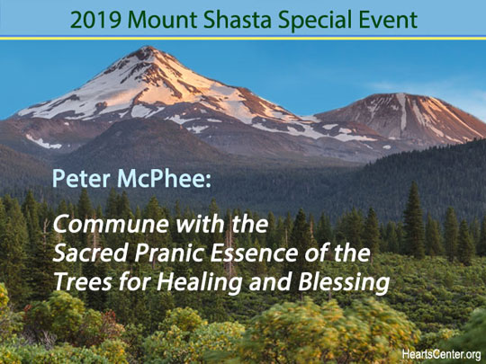 Peter McPhee: Commune with the Sacred Pranic Essence of the Trees for Healing and Blessing (VIDEO)