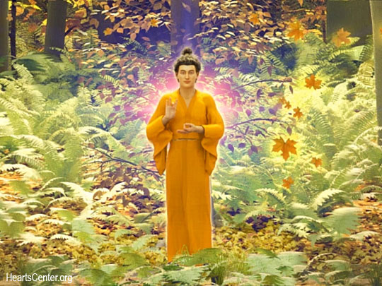 Gautama Speaks from Boston and Releases a New Buddha Nature Image and 15 Steps on the Initiatic Path toward Solar Beingness (VIDEO)