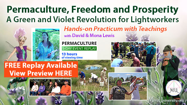 Permaculture, Freedom and Prosperity