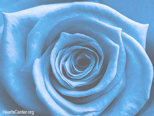 Mother Mary: I Offer a Blue Rose from My Heart for the Victory of Canada’s Spiritual Mission