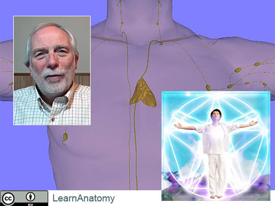Vagela Speaks on the Importance of the Thymus as a Focus of the Fifth Crystal Ray (VIDEO)