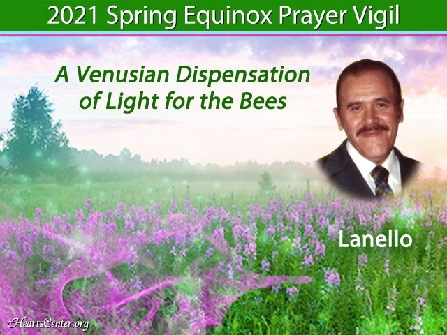 Lanello Brings a Dispensation of Light from Venus on Behalf of the Bees and Teaches on Their Vital Role for the Planet (VIDEO)