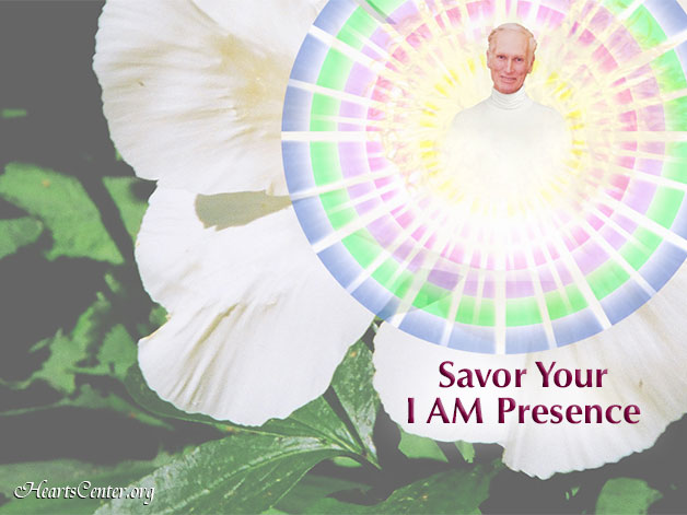 Savor Your I AM Presence, Be Bold and Expand Your Abundant Consciousness (VIDEO)