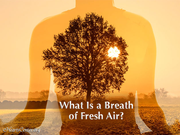 What Is a Breath of Fresh Air? (VIDEO)