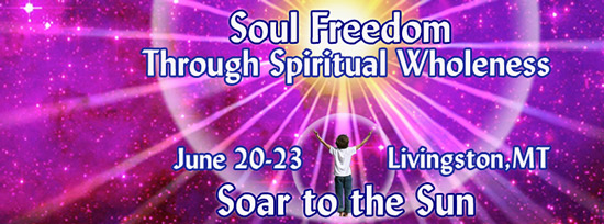 soul freedom 2013 conference